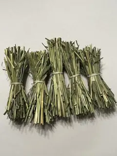 Item thumbnail for item eca29b9a-b96c-41d8-bd5f-5bca52a98640