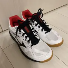 Mizuno Wave Blaster バドミントンシューズ　23.5cm