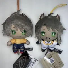 ツイステ　ツイステッドワンダーランド　レオナ　運動着　実験着　2点セット