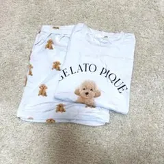 ジェラートピケ　ルームウェア　上下セット　dog柄　トイプードル