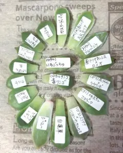 2026年最新】ロウルサンコの人気アイテム - メルカリ