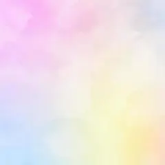 *りぃん様専用*