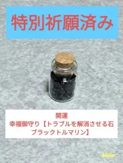 Item thumbnail for item b6ddfaf6-a93e-4bd0-8249-4487942276bf