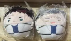 Item thumbnail for item 80e2ff39-425a-4e99-ac28-106780c7fd32