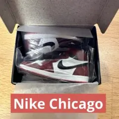 NIKE Air Jordan 1 High 85 CHICAGO シカゴ