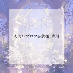 プレインシート　専用