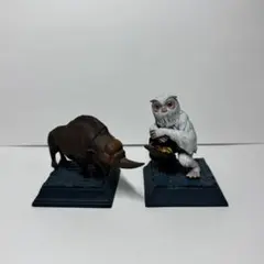 ファンタスティック・ビースト　魔法生物コレクション　デミガイズ&エルンペント