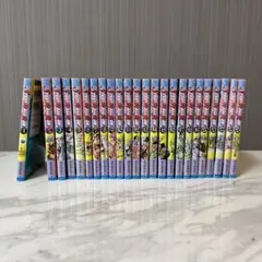 スティール・ボール・ラン 全巻セット 1～24巻　完結＋おまけ【即購入OK】 新品 / [ジョジョ]STEELBALLRUNスティール・ボール・ラン(1-24巻