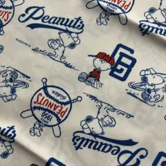 Item thumbnail for item b91ac3f6-3f7f-416d-8687-5a95c77d7dea