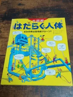 Item thumbnail for item 72ee834e-52df-41e1-9b91-639796cce089