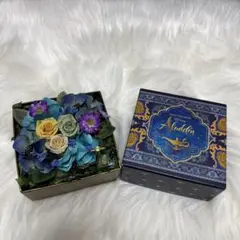 ディズニー アラジン ホールニューワールド オルゴール ブリザードフラワー 美品