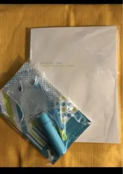 嵐　ARASHI 10-11 TOUR ペンライト　パンフレット　美品