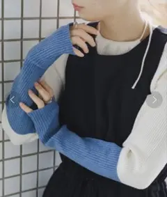 【Kastane】カスタネ　袖配色アメスリリブニット