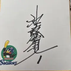 東京ヤクルトスワローズ 池山隆寛監督 直筆サイン - メルカリ