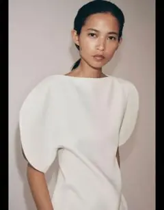 ZARA パフスリーブトップZW COLLECTION S - メルカリ