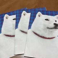 SoftBank 犬デザイン ノート 3冊セット