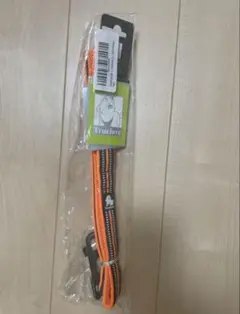 Item thumbnail for item 3785fd15-2fab-4d4c-90e1-c39c5d225dda