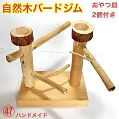 Bird Gym 내추럴 우드 스탠드 탁상용 퍼치 버드 퍼치 트리 피더 앵무새