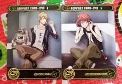 家庭教師ヒットマンREBORN サザンクロスバトル 2枚セット