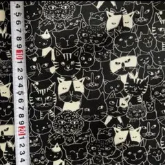 2m 猫 ねこ オックス生地 はぎれ 布