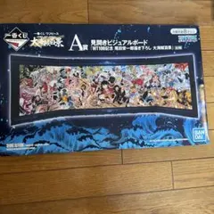 一番くじ ワンピース WT100記念 尾田栄一郎描き下ろし 大海賊百景 A賞