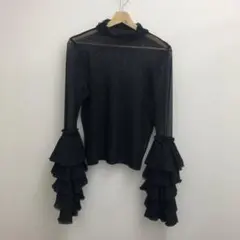 LA BELLE ETUDE メッシュフリル袖 長袖トップスのサムネイル
