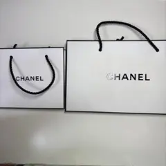 CHANEL シャネル ショップ袋 ショッパー 4枚セット 紙袋 ホワイト