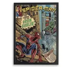 Spider-Man ポスター 額装付 スパイダーマン