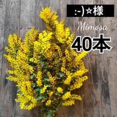 ◯:-)⭐︎様専用ページ