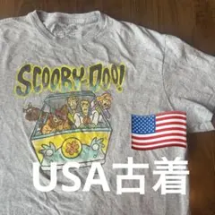 USA古着 プリントTシャツ メンズXL グレー