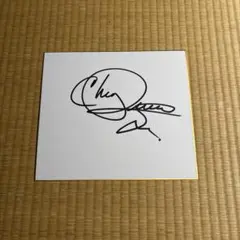 阪神タイガース 立石正広 直筆サイン色紙 背番号9 - メルカリ