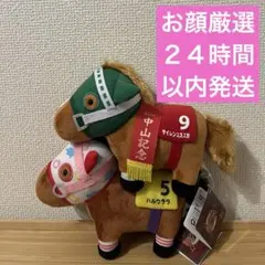 サラブレッドコレクション ぬいぐるみ39 ハルウララ　サイレンススズカのサムネイル