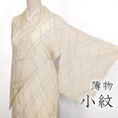 夏着物(絽) (小紋 露芝文様 裄67㌢ 黄唐茶色系) - メルカリ