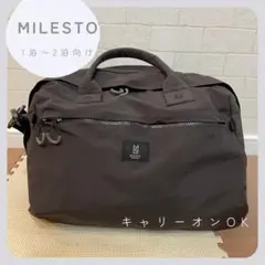 Item thumbnail for item 3f19784f-65d9-483b-928e-d338c8ec63aa