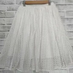 ダズリン F コットンアイレットレース フレアスカート 裏地付 白 春夏のサムネイル
