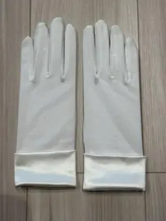 Item thumbnail for item 69fad8c0-7a96-4b41-a98c-1c0f76b66e90