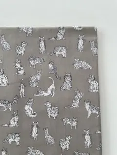 1m liberty タナローン meow