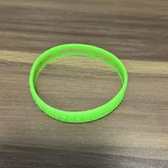 新垣里沙　卒業記念　シリコンリストバンド