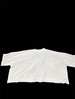 アンドミー USAコットン　天竺　オーバサイズ　ショート丈　Tシャツのサムネイル