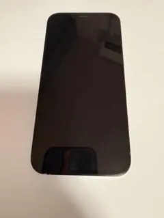 iPhone12 Pro 128GB