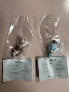 エヴァンゲリオンEVA POCKETめじるしアクセサリー　レイ　マリ　2点セット