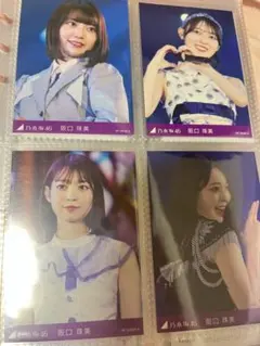 阪口珠美 dvd 卒コン トレカ まとめ売り