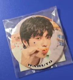 ハルト　缶バッジ