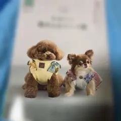 犬服ハンドメイド メル様オーダー品 - メルカリ