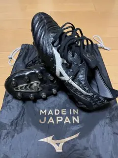 2026年最新】モレリアネオ3 βの人気アイテム - メルカリ