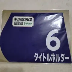 2026年最新】タイトルホルダー ゼッケンの人気アイテム - メルカリ