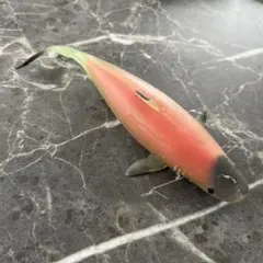 シャークアタック　アンドコ　ツマジロ