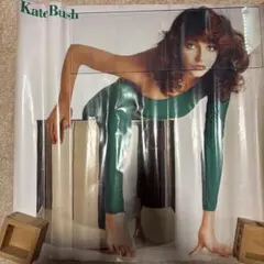 Item thumbnail for item 5d40fe4d-47a0-4ef5-abcb-df0480411eae