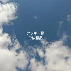 クッキー様ご依頼品