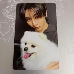 BOYNEXTDOOR トレカ テサン global weverse ラキドロ - メルカリ